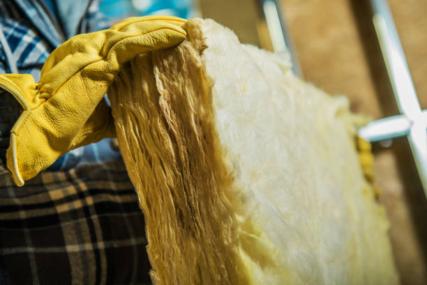 Best Insulation Removal Services  in Saylorsburg, PA