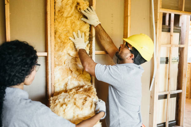 Best Best Insulation Companies  in Saylorsburg, PA