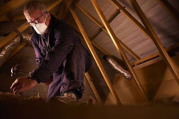 Best Insulation Contractors for Homes  in Saylorsburg, PA