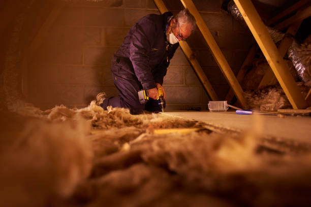 Best Energy-efficient Insulation  in Saylorsburg, PA